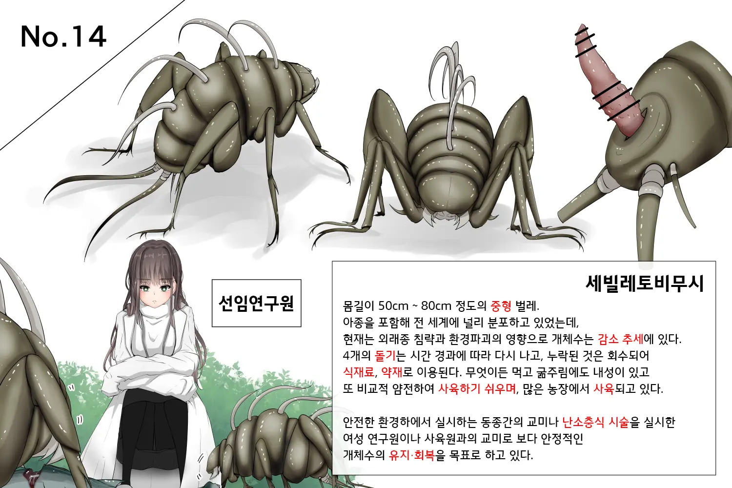 벌레연구보고서 합본 | Mushi Research Report